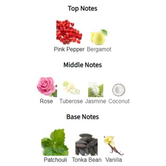 Lace Noir by Agent Provocateur - Picture 3 of 7